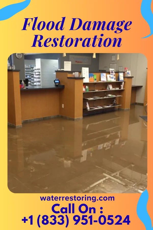 Flood Damage Restoration in Allenville, IL