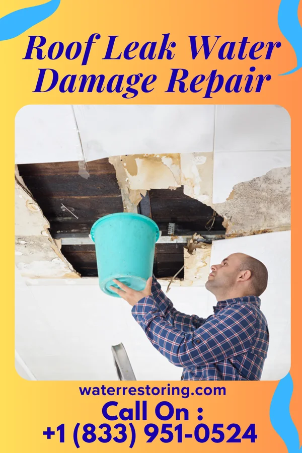 Roof Leak Water Damage Repair in Allenville, IL