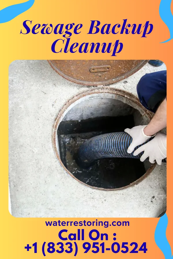 Sewage Backup Cleanup in Allenville, IL